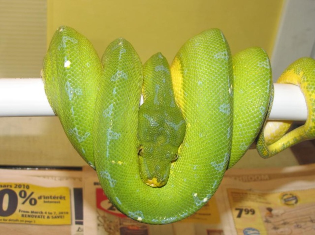 mon GTP.jpg