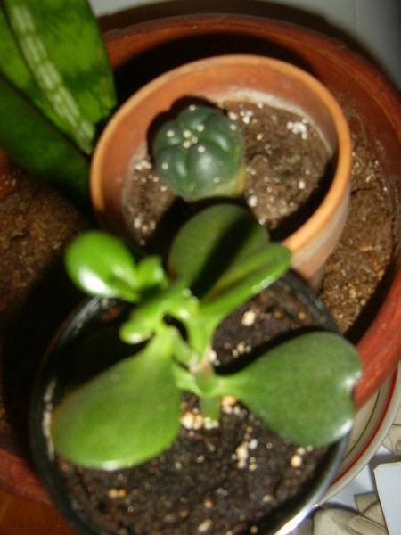 PICT0028.JPG