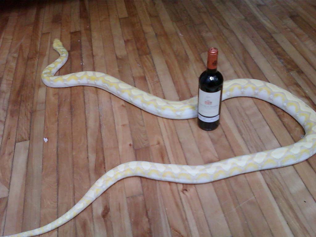 sssssssdffdfff.jpg
