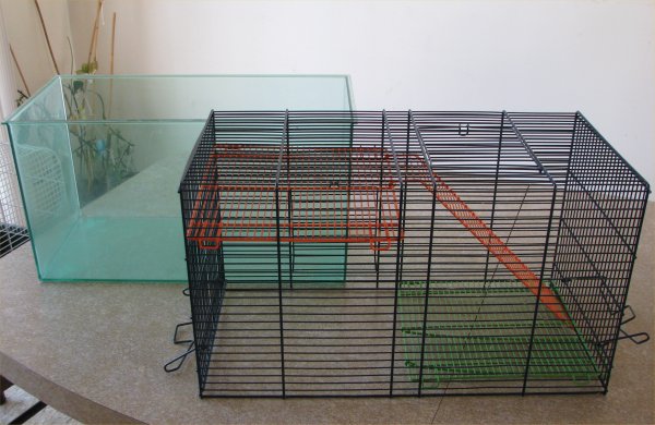 cage2.jpg