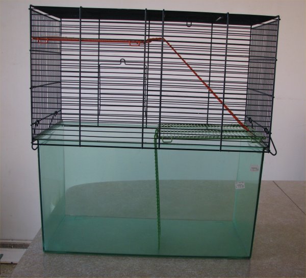 cage2-2.jpg