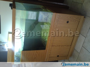 90364956-aquaterrarium.jpg