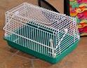 cagedetransport.jpg