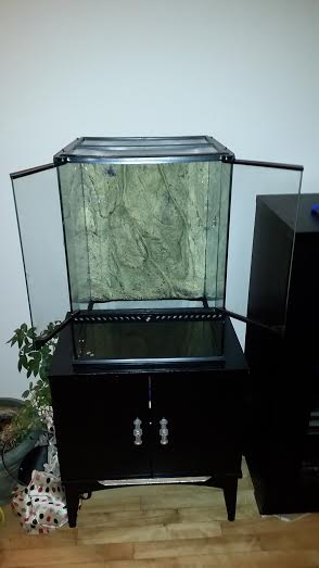 terrarium.jpg
