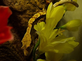 P8150008.JPG