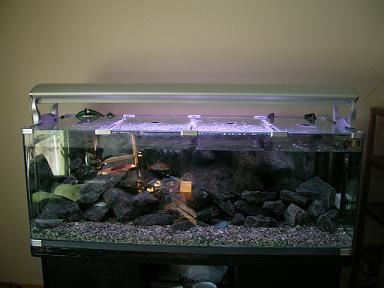 Aquarium small.JPG