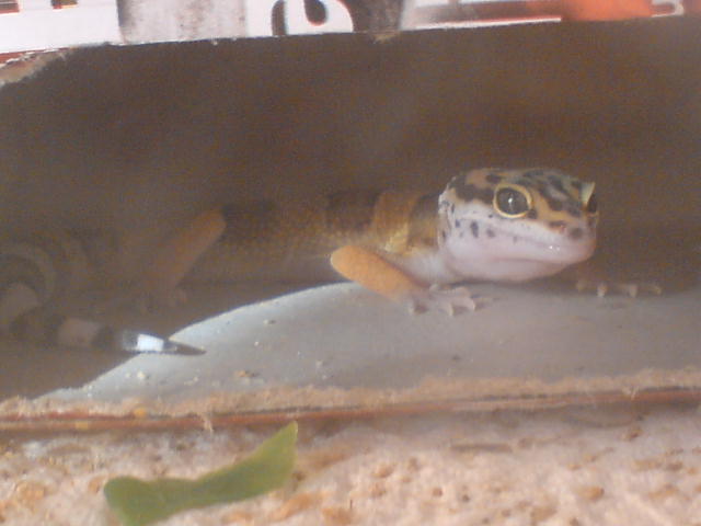 DSC00574.JPG