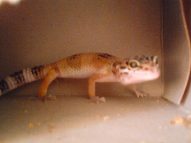 DSC00579.JPG