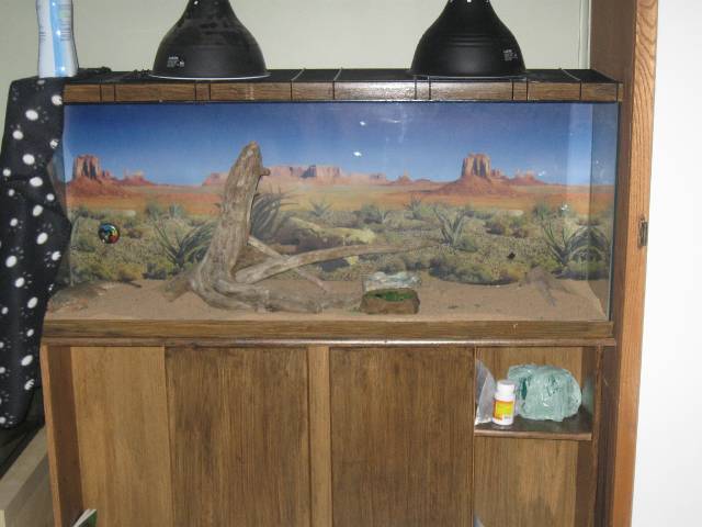 PXR_IMG_0177.JPG