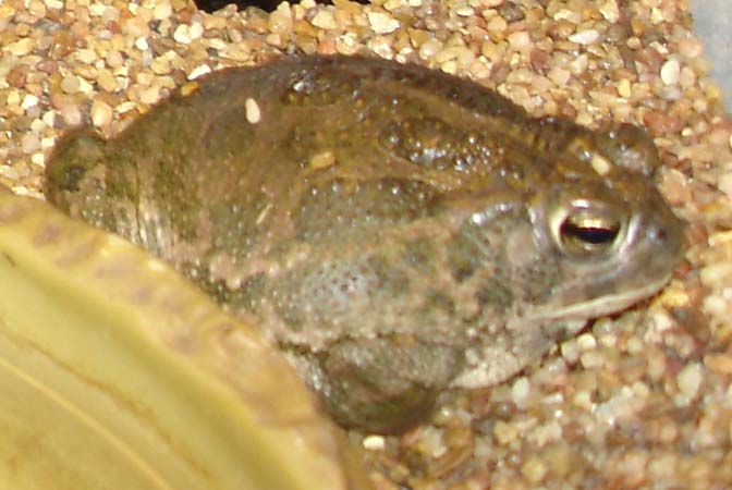 DSC01920.jpg